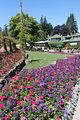163 - Butchard Gardens  - IMG_1735